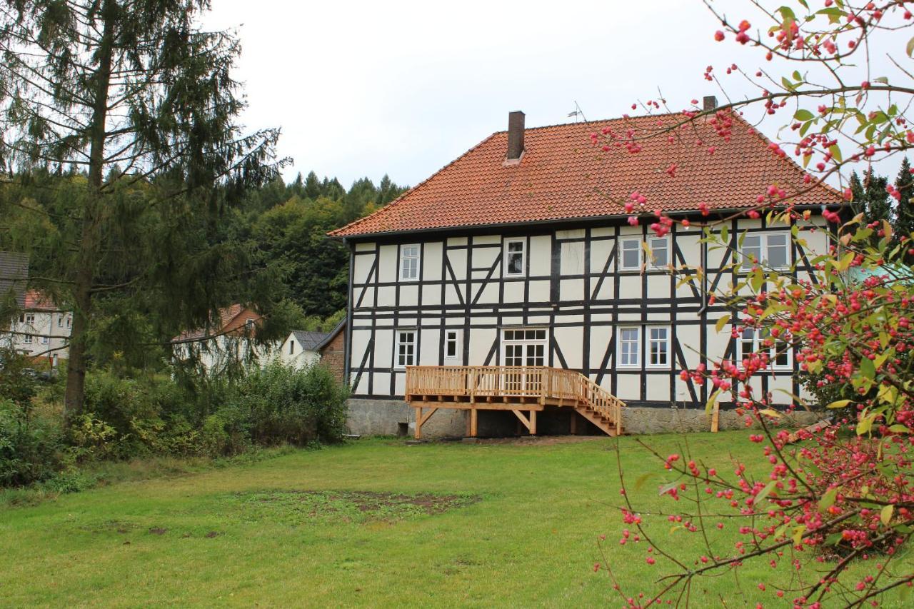 Forsthaus In Waldhessen Bauhaus Екстериор снимка